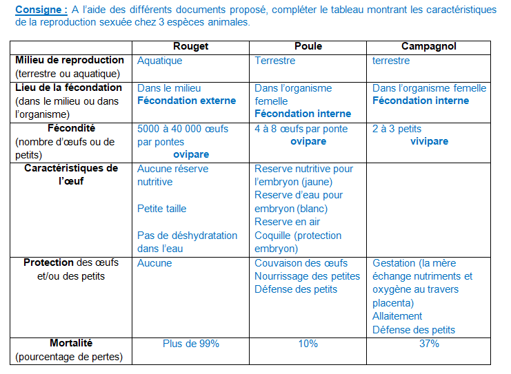 fécondation externe