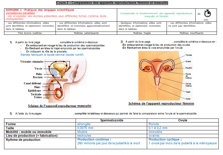 Cours 2 Comparaison Des Appareils Reproducteurs Féminin Et Masculin Ressources 4ème College 