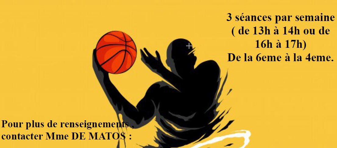 Section basket 20.jpg