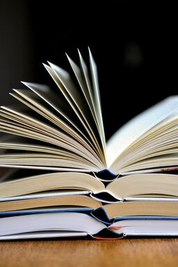 livres.jpg